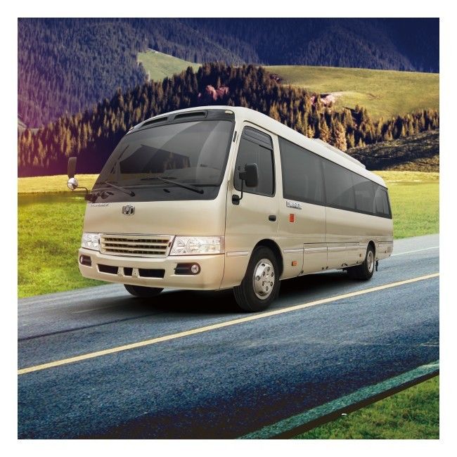 6m 19 energia de Zev Bus LHD dos assentos recuperam Mini Bus elétrico puro 89,7 Kwh